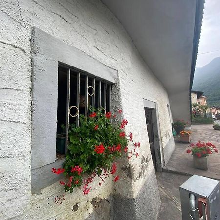 Casa Vacanze Il Pettirosso. Pisogne Esterno foto