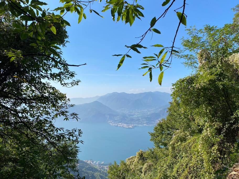 Casa Vacanze Il Pettirosso. Pisogne Esterno foto