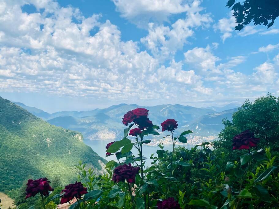 Casa Vacanze Il Pettirosso. Pisogne Esterno foto