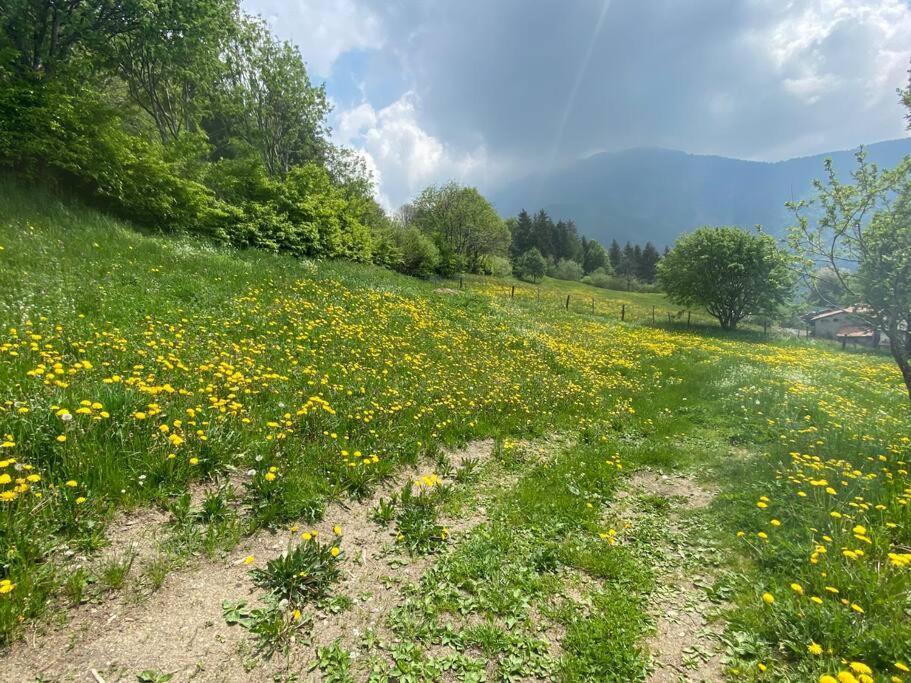 Casa Vacanze Il Pettirosso. Pisogne Esterno foto