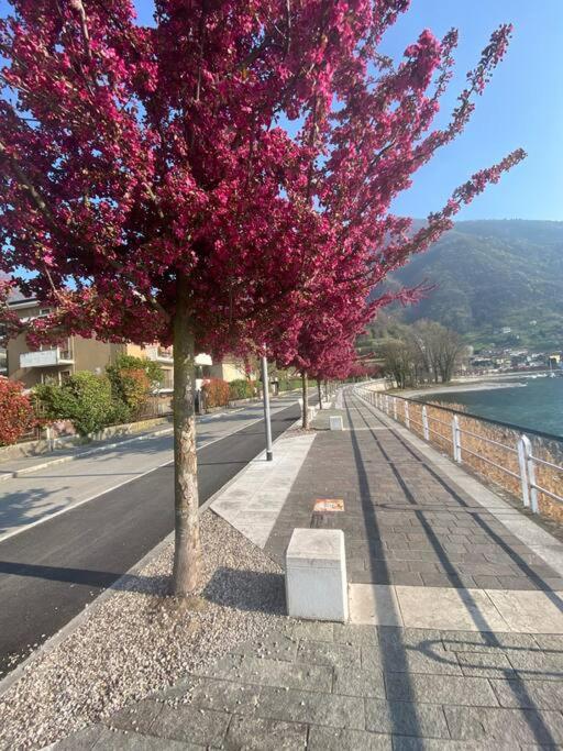 Casa Vacanze Il Pettirosso. Pisogne Esterno foto