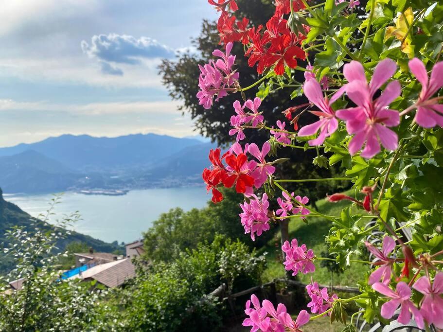 Casa Vacanze Il Pettirosso. Pisogne Esterno foto